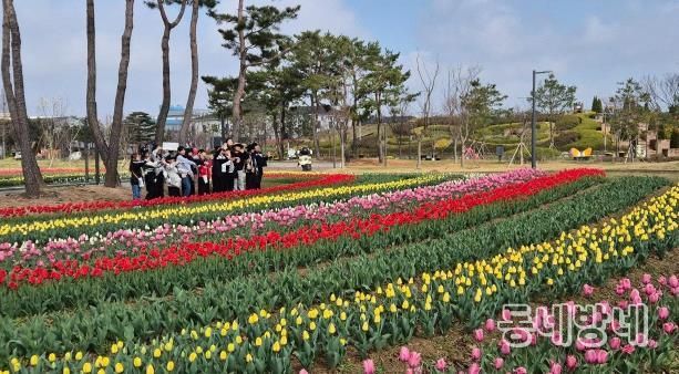 ‘2025 평택꽃나들이’ 화려한 봄꽃과 함께 안전하게 마무리