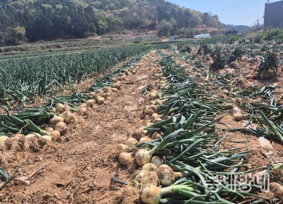 거제시, 삼성중공업에 지역농산물 공급
