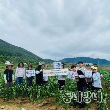 고성군청 주민생활과, 농촌일손돕기 실시