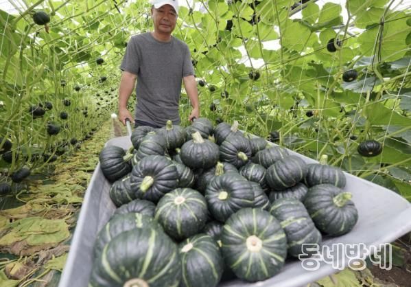 해남 계곡면 진수연 농가