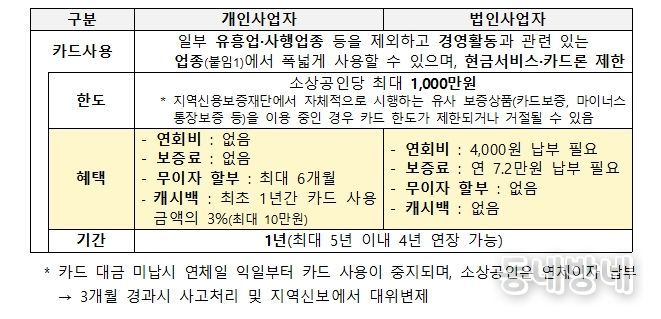 소상공인 비즈플러스카드 사업