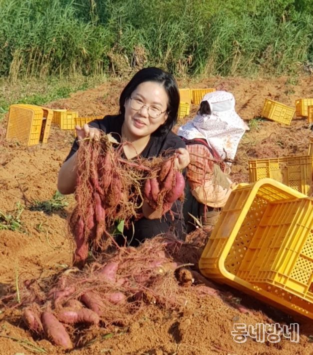 친환경농산물 사진