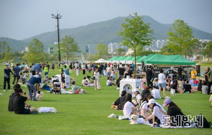 댕댕나이트런 참가자들이 오천그린광장에 모여 앉아 쉬고 있다