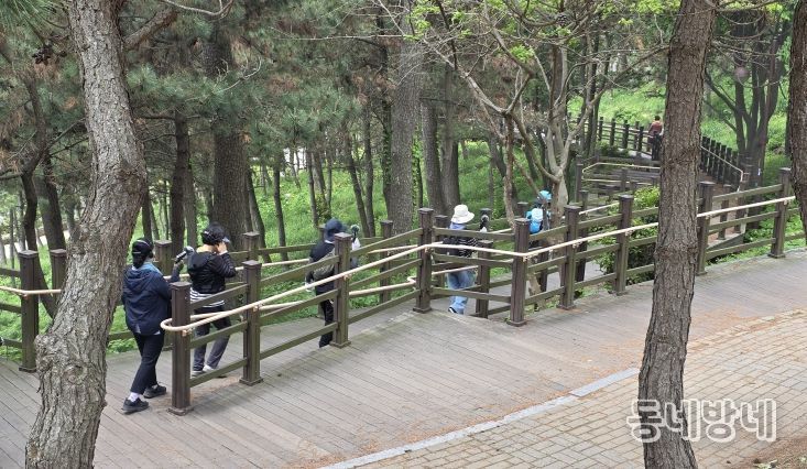 2025 해파랑길 사운드워킹