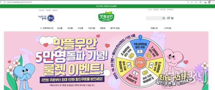 맛뜰무안몰 코스모스축제 기획전 배너