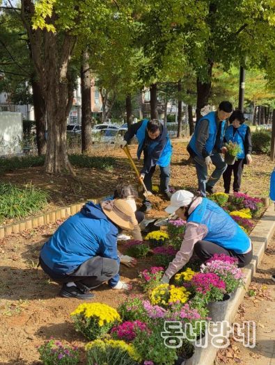 고양시 정발산동, 가을맞이 초화식재 행사 개최