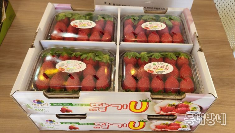 달콤한 시작은 홍성에서...홍성딸기 가락시장 데뷔!