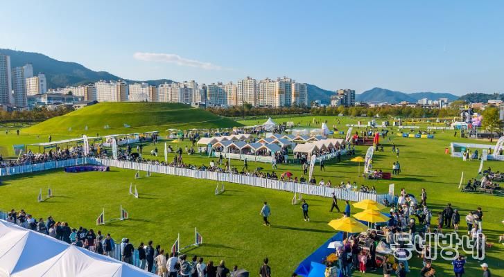 2025년 반려동물 문화한마당 행사장 전경
