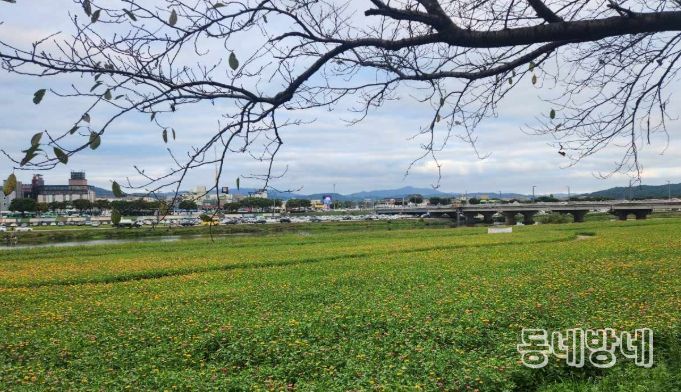 경주시 형산강변