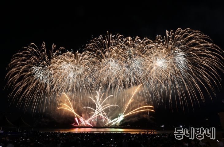 ‘APEC 성공 기원 불꽃&드론쇼