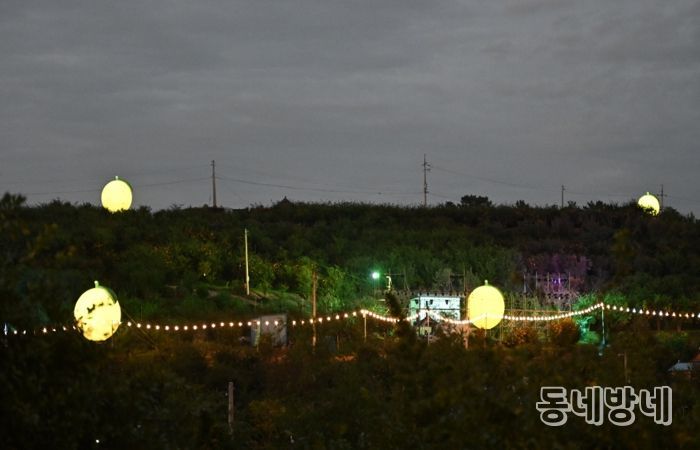 고흥의 밤, 유자빛으로 물든다… 제5회 고흥유자축제 야간경관 사전 개방