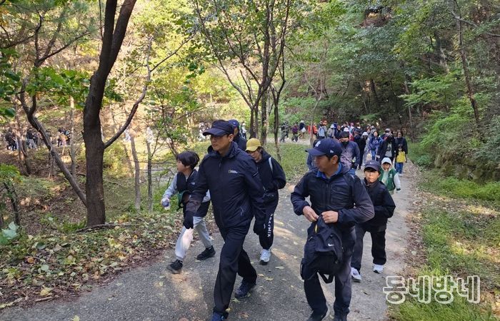 구미 냉산 숲길 따라 역사와 힐링을 걷다