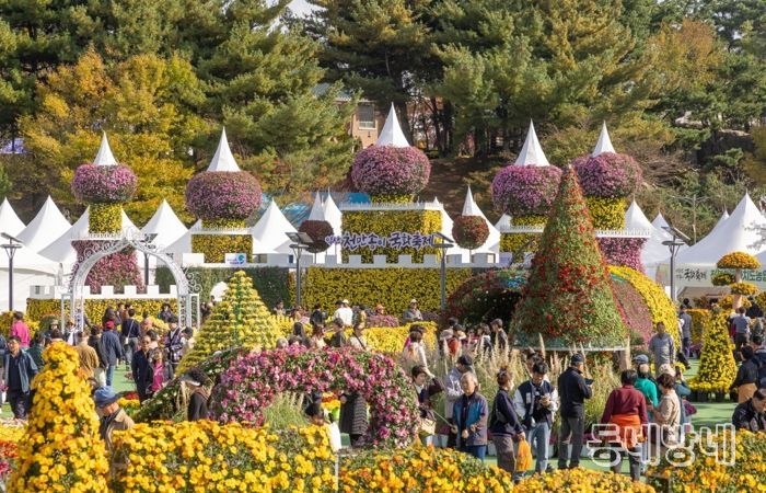 가을 정취의 절정…익산 국화축제 '76만 명' 몰렸다