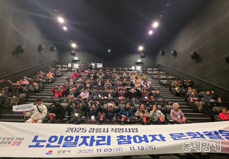 노인일자리 및 사회활동지원사업 참여 어르신 대상 문화활동