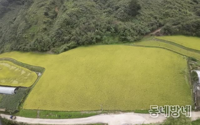 경기도 남양주시 조안면 시우리 222-3번지 일원에 있는 「구리시 관외 농지 활용 벼농사 체험장」 전경