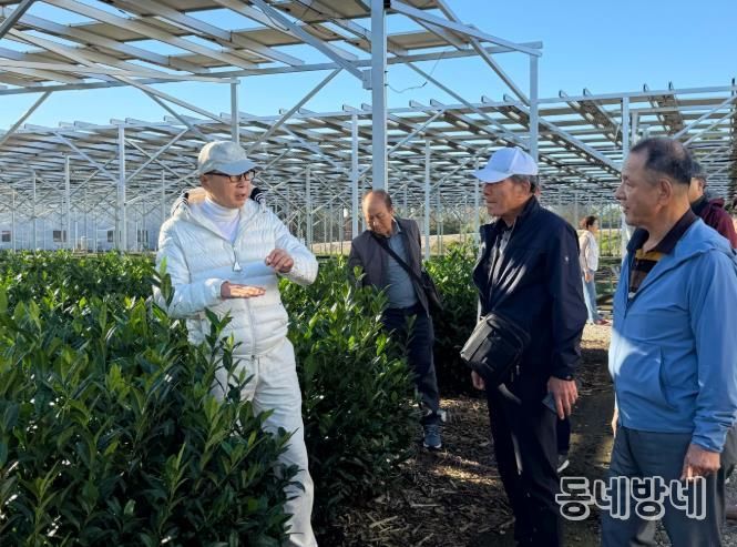 보성군, 일본 시즈오카 벤치마킹 통해 ‘K-TEA 보성말차’ 글로벌 성장 시동_영농형 태양광을 설치한 스마트 에너지 다원인 스츠카 솔라 차원을 방문했다