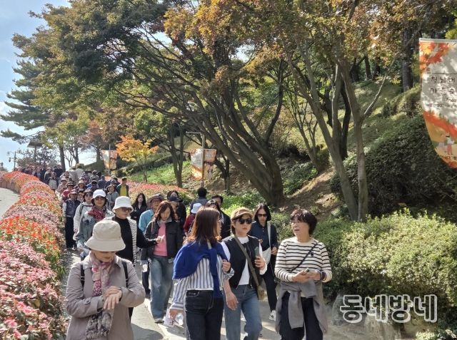2025 청남대 가을축제 인파