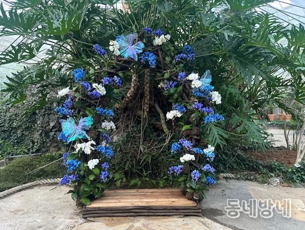 함평군 자연생태공원, 호접란 특별개최전 호접란 포토존