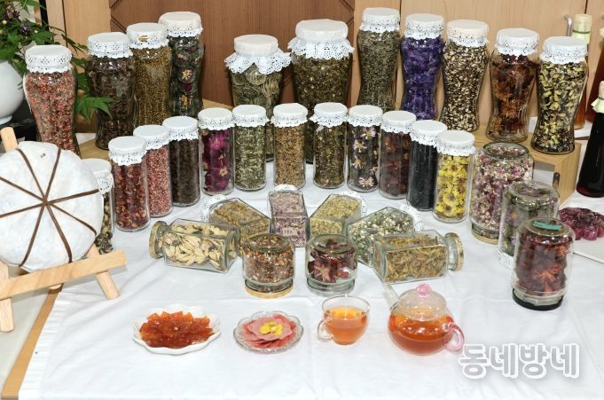 산촌활력 특화사업 숲푸드 포럼