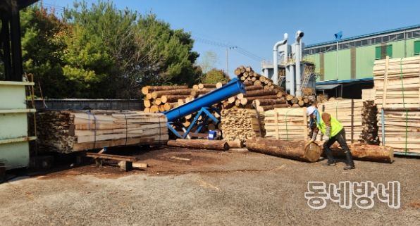 양산시, 2025년 가을철 소나무류 이동 특별단속 실시