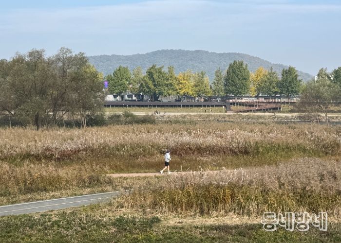 ‘가을의 도시’ 아산서 은빛 억새·황금 단풍 즐겨요