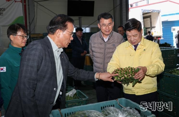 고성군수, 겨울철 효자품목 ‘시금치’ 경매 현장 방문