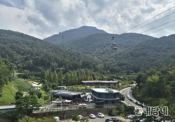 통영시, 전국 대상 숲가꾸기 우수사업지 선정
