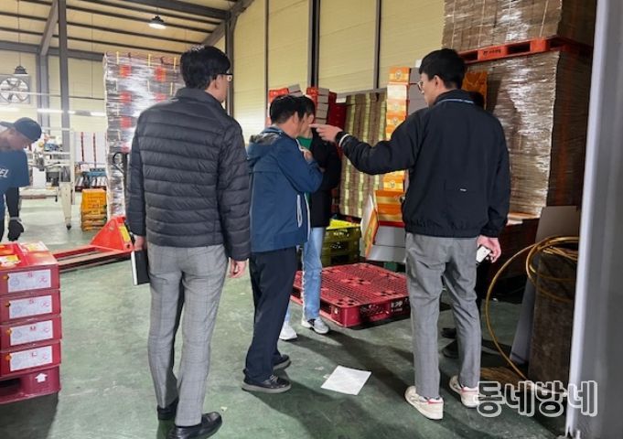 감귤 원산지 표시 위반 선과장 집중 단속