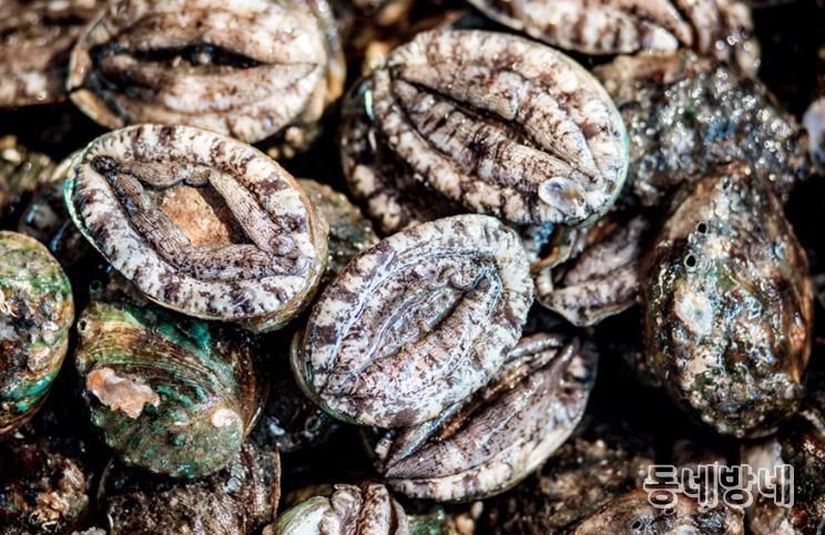 진도군전복협회, ‘학교급식 진도전복 먹는 날’ 운동 전개