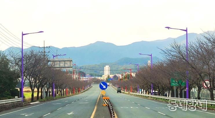 이서로(국지도 30호선) 가로등 설치사업 준공사진