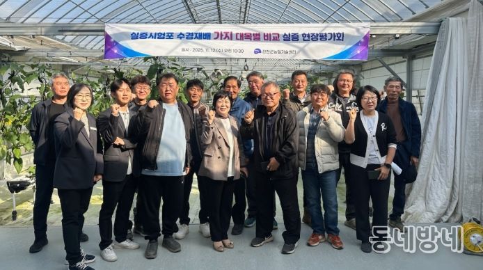 진천군, 수경재배 가지 대목 비교 현장평가회