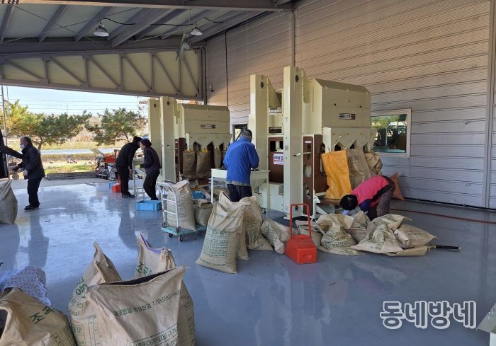 영천시 농기계임대사업소 서부본소에서 콩 정선기를 이용하고 있는 농업인들