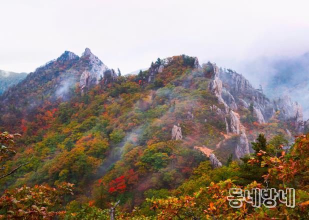 금상 어승완 공룡능선의비경(경기 군포)