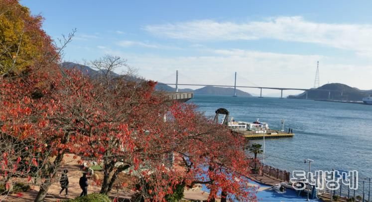 가을 단풍 명소 ‘돝섬’ 으로 오세요