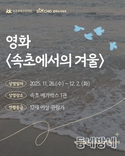 속초에서의 겨울 카드뉴스