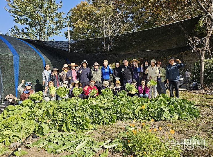 감자, 옥수수, 배추 등 다양한 작물 재배로 농심 체험