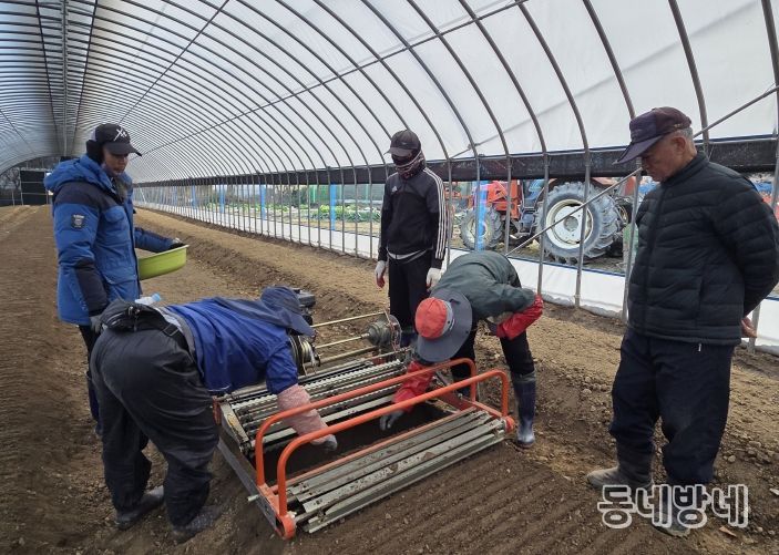예천군, ‘내재해형 이중구조하우스’로 안정적 인삼 생산기반 구축