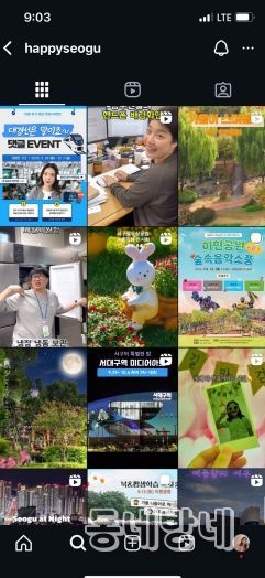 대구 서구청 인스타그램 캡처