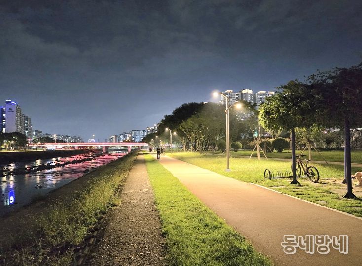 대구시, 신천둔치 가로등 추가 설치