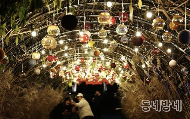 2025함평겨울빛축제 전경
