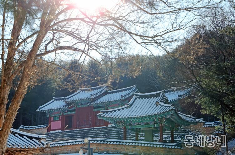 눈이 내린 뒤 해가 비치는 순간, 괴산군 청천면 화양서원의 기와지붕 위로 얹힌 눈이 서원의 윤곽을 선명하게 한다