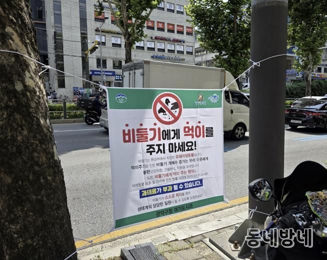 신림역 일대 남부순환로에 게첨된 비둘기 먹이주기 금지 안내문