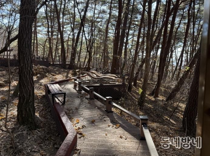 운곡솔바람숲길 데크 쉼터 전경