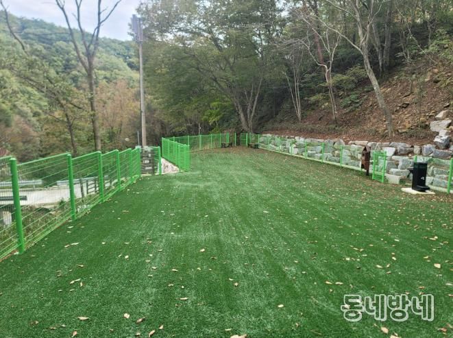 산삼자연휴양림 반려견놀이터 전경사진