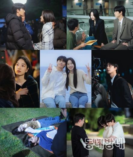 사진 제공: SLL, 아이엔, 글뫼