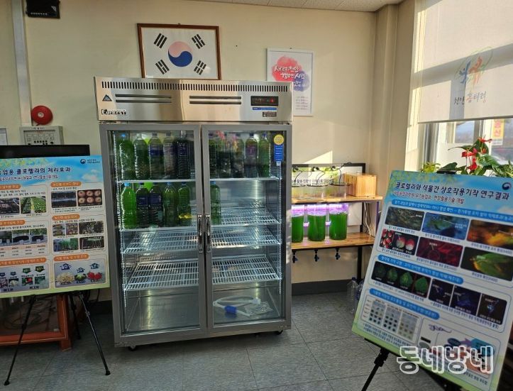 1. 천안시농업기술센터가 클로렐라를 배양하고 있다.