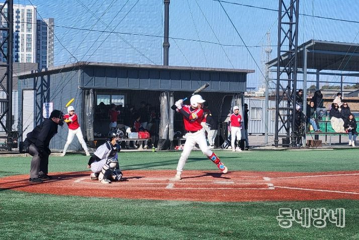 강릉시 동계 스토브리그, 야구로 피날레