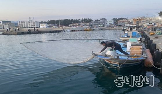 분기초망 그물 전개