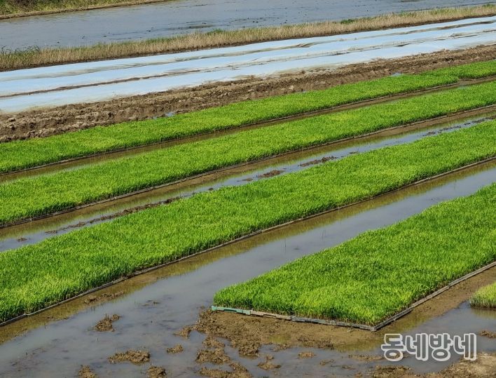 병해충 사전 차단 나선 익산시