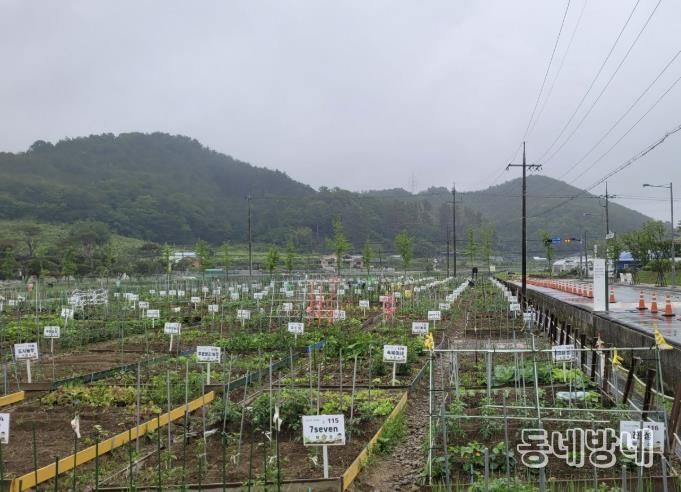 진주시, 도심 속 농업체험장‘시민 텃밭’분양 성황리 마감
